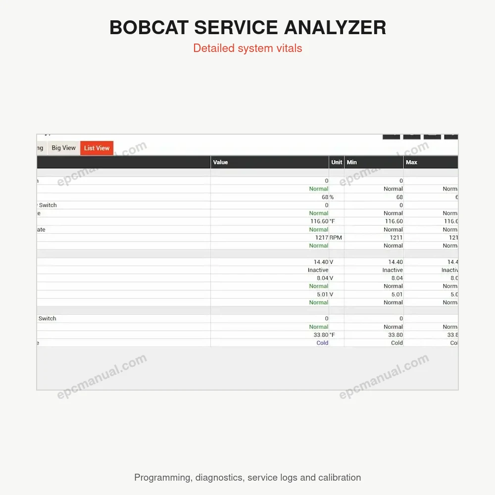 BOBCAT SERVICE ANALYZER 92.10 screenshot 6